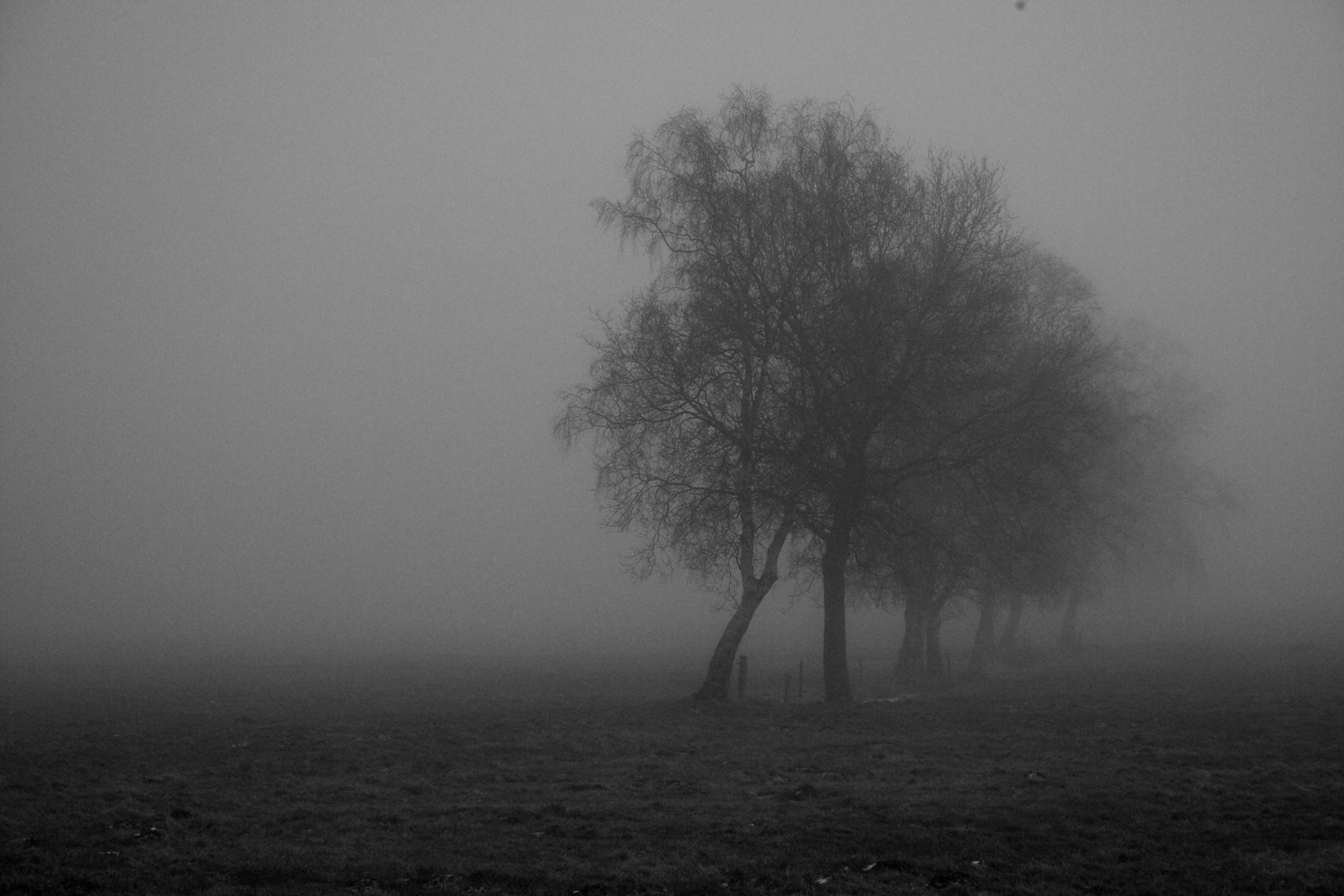 Herbst im Moor