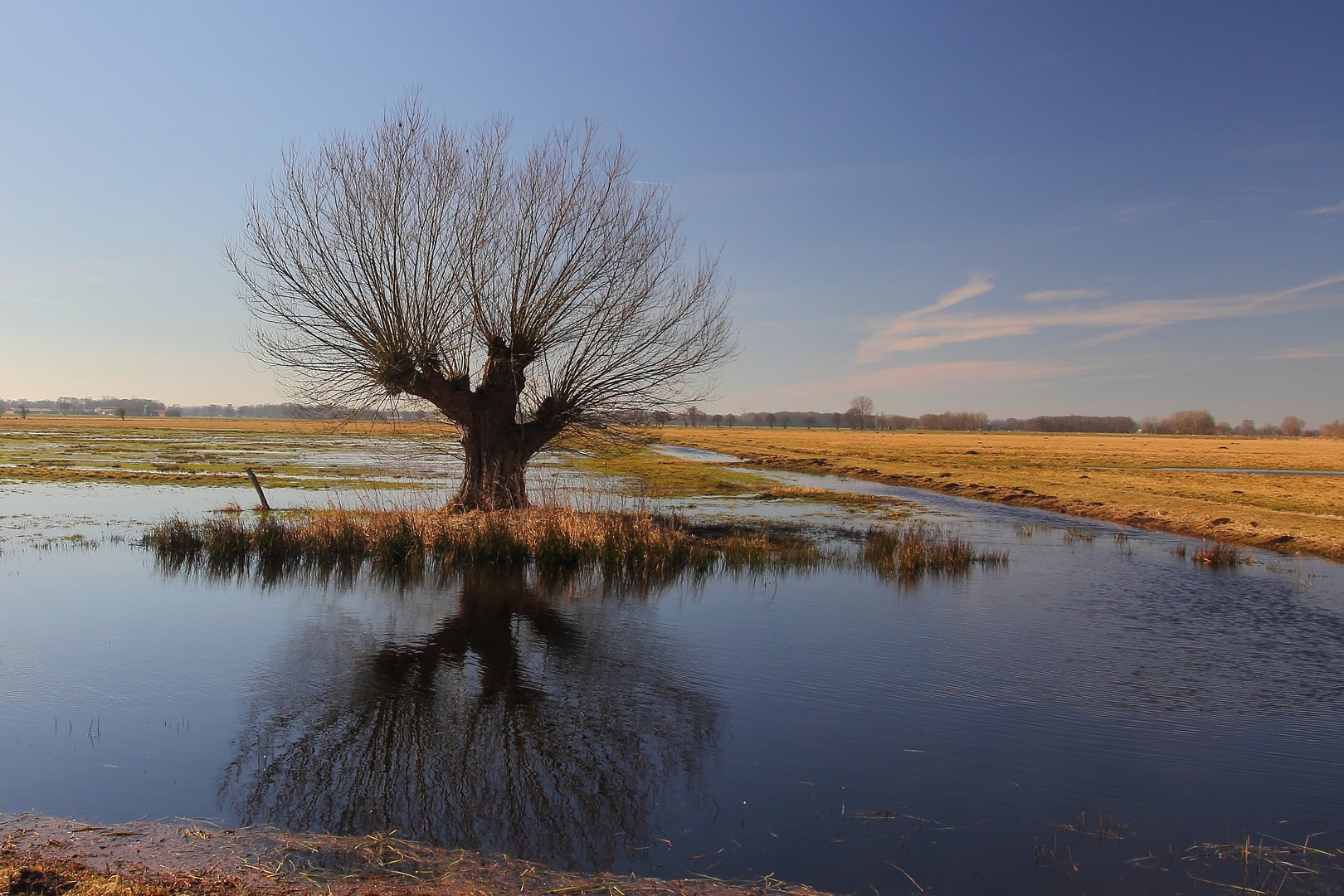 Herbst im Moor