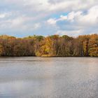 Herbst im Moor