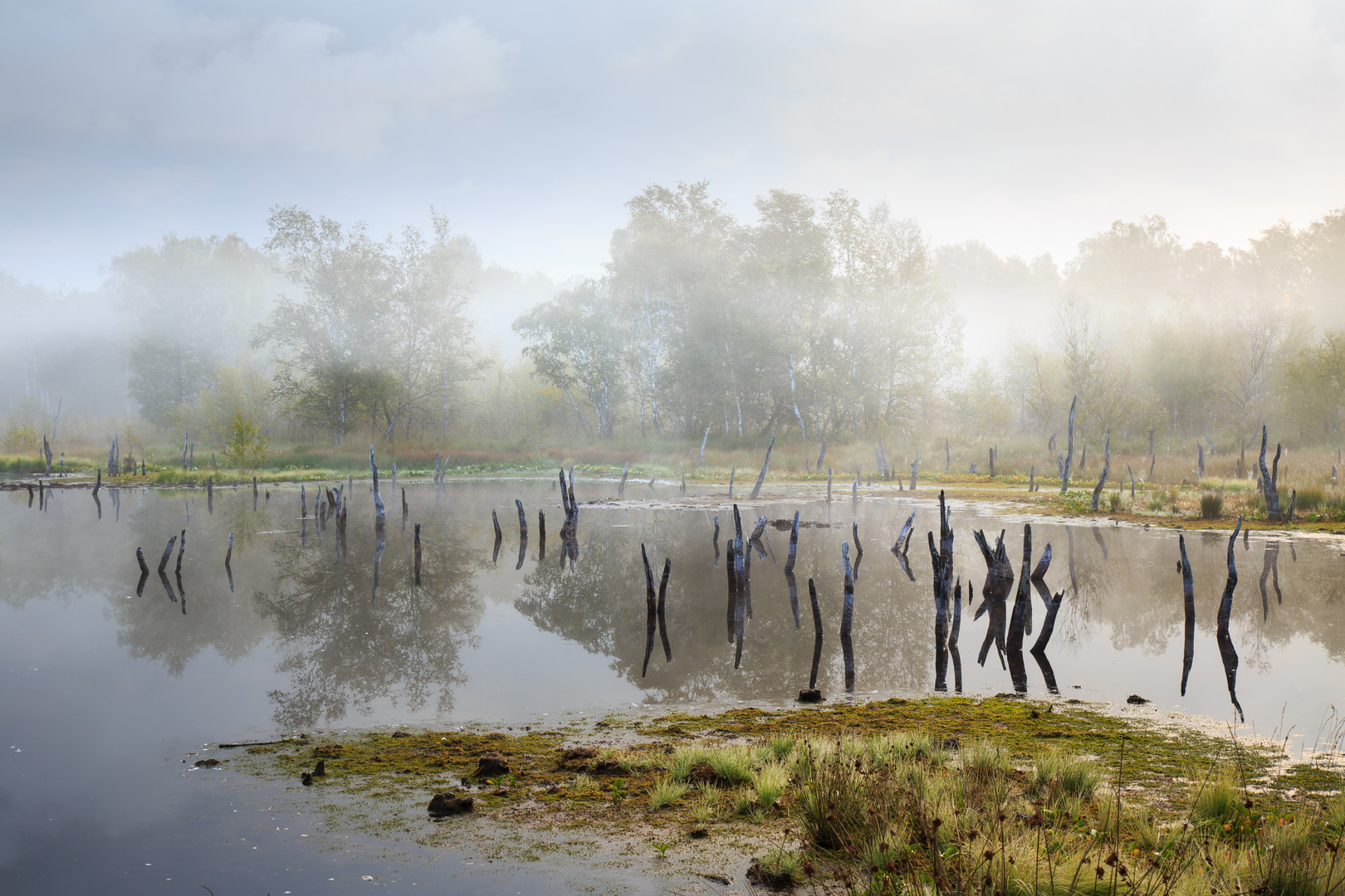 Herbst im Moor