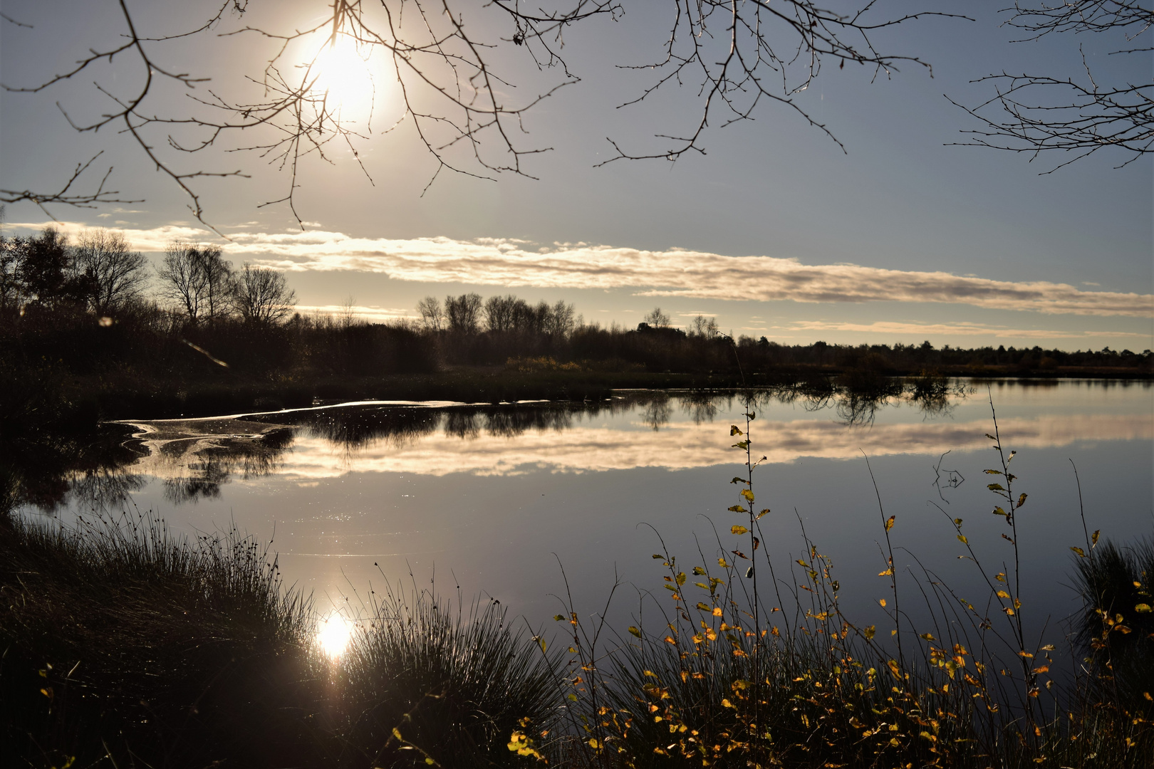 Herbst im Moor