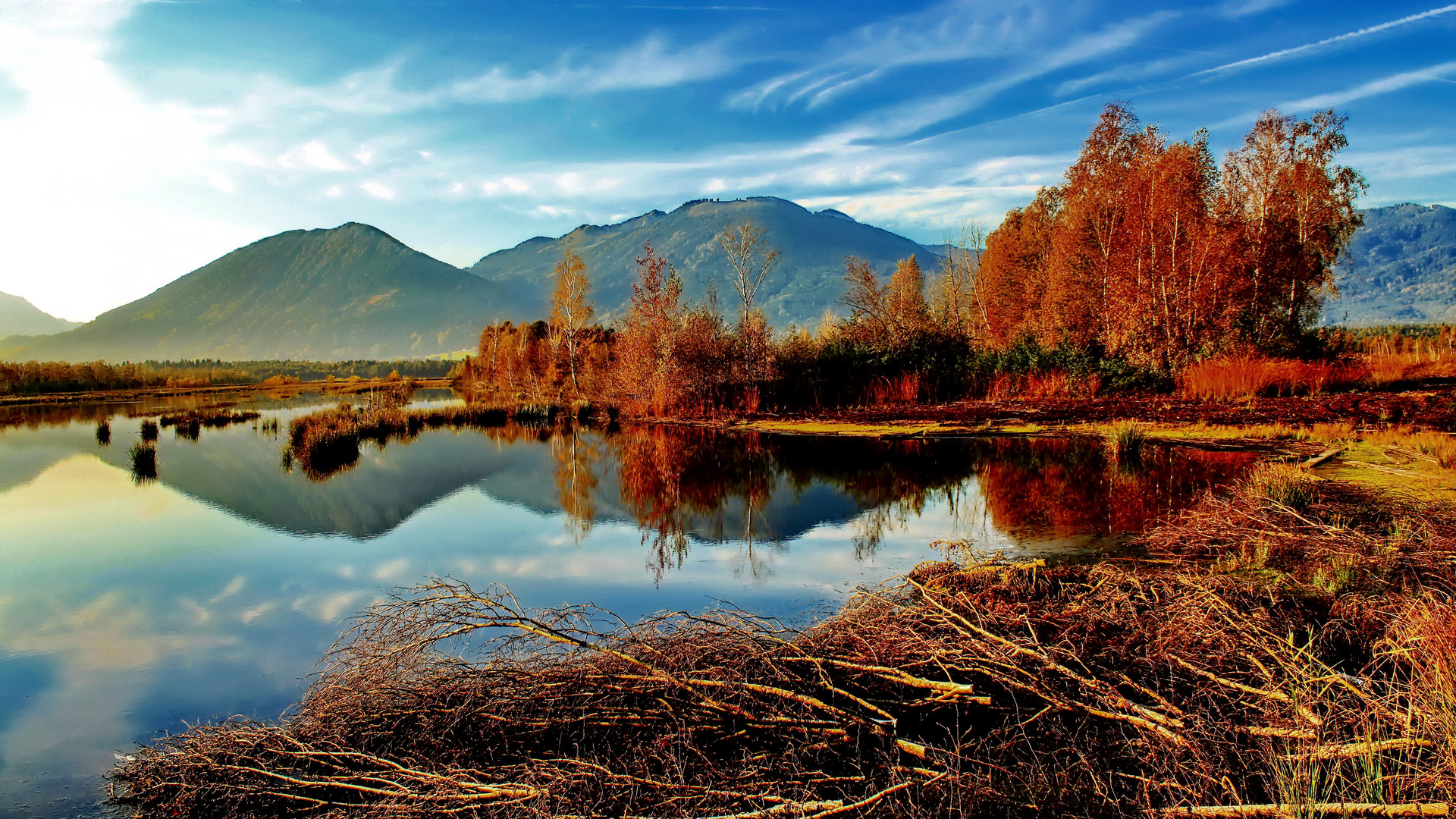 Herbst im Moor