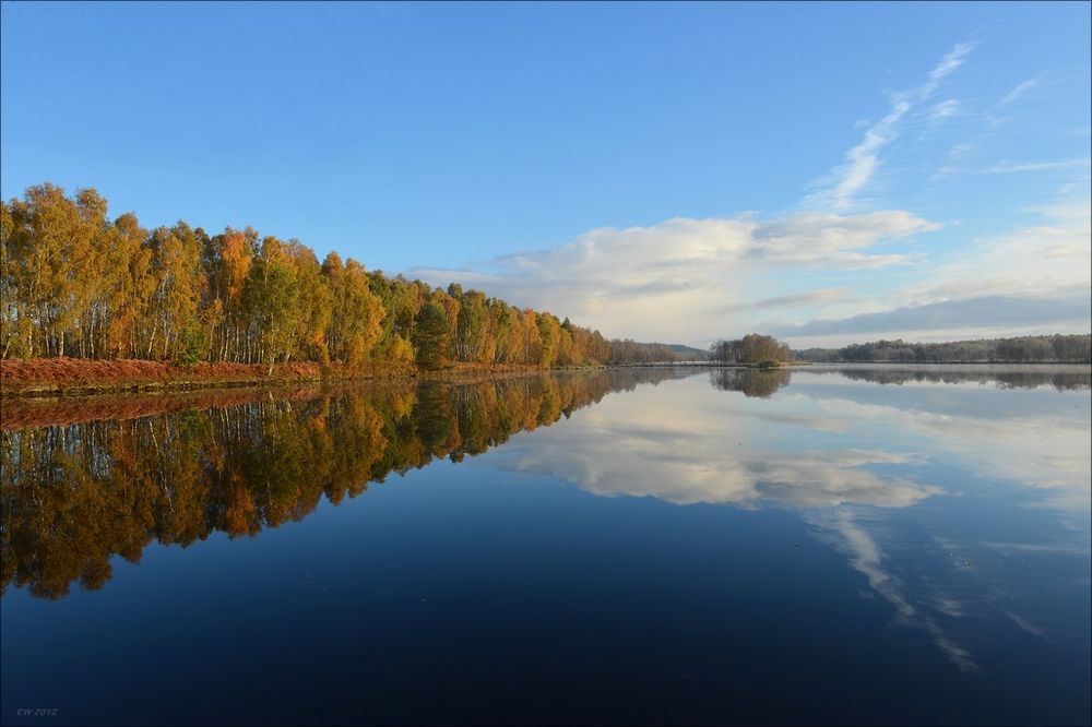 Herbst im Moor