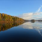 Herbst im Moor