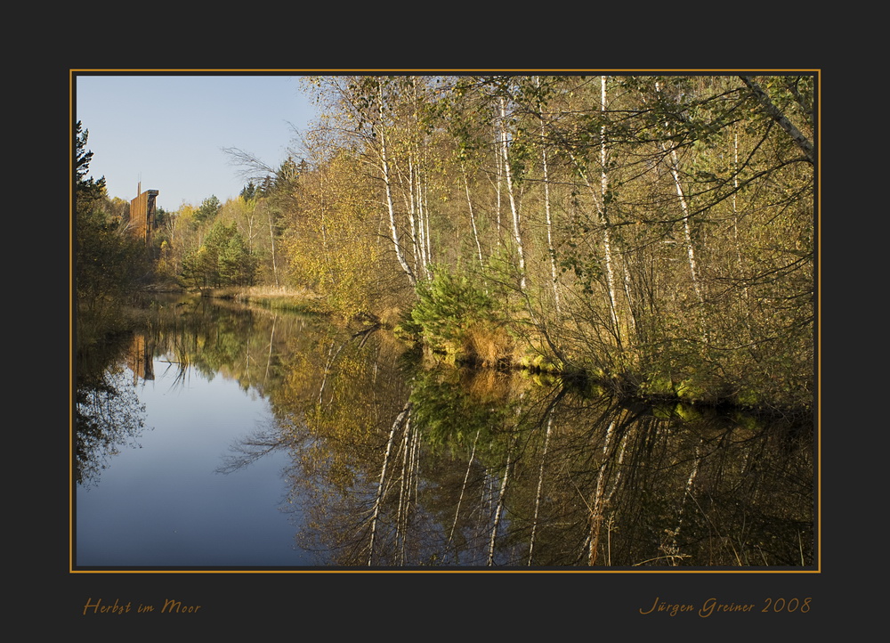 Herbst im Moor