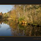 Herbst im Moor