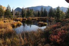 Herbst im Moor