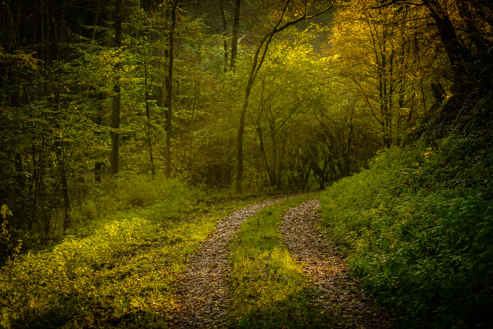 Herbst im Moorbachtal 2