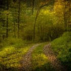 Herbst im Moorbachtal 2