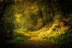 Herbst im Moorbachtal