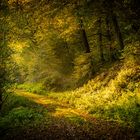 Herbst im Moorbachtal 3