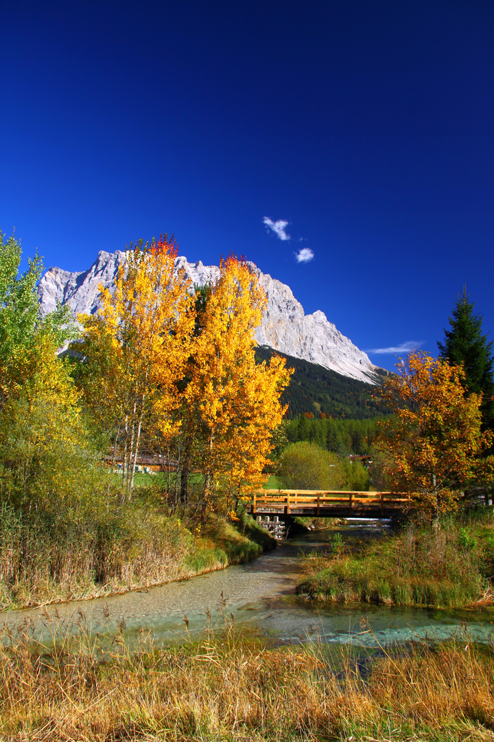 Herbst im Moos