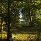 Herbst im Moritzburger Teichgebiet - am Weiher