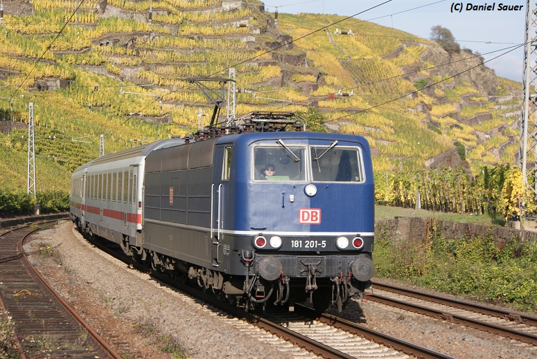 Herbst im Moseltal