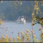 Herbst im Moseltal