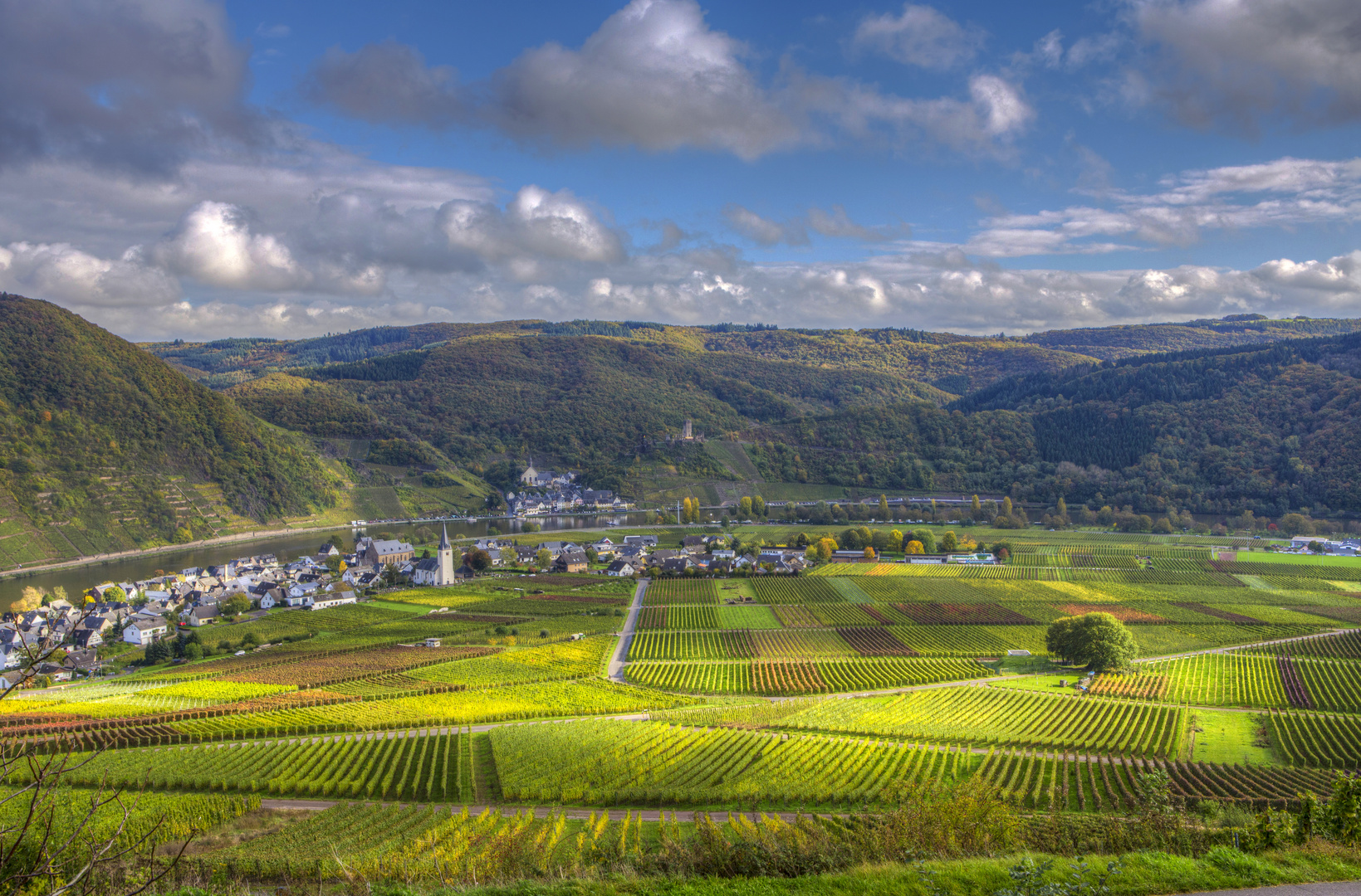 Herbst im Moseltal Ellenz-Poltersdorf