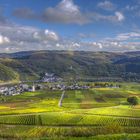 Herbst im Moseltal Ellenz-Poltersdorf