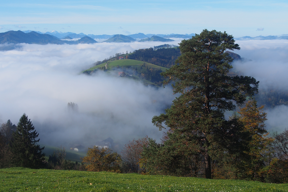 Herbst im Mostviertel