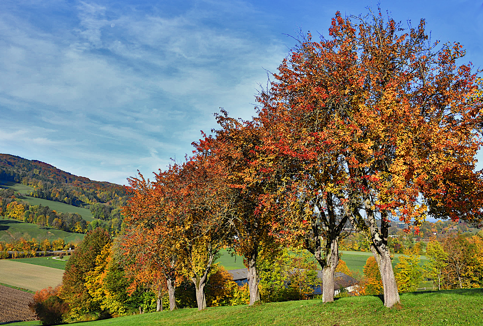 Herbst im Mostviertel