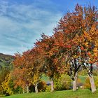 Herbst im Mostviertel