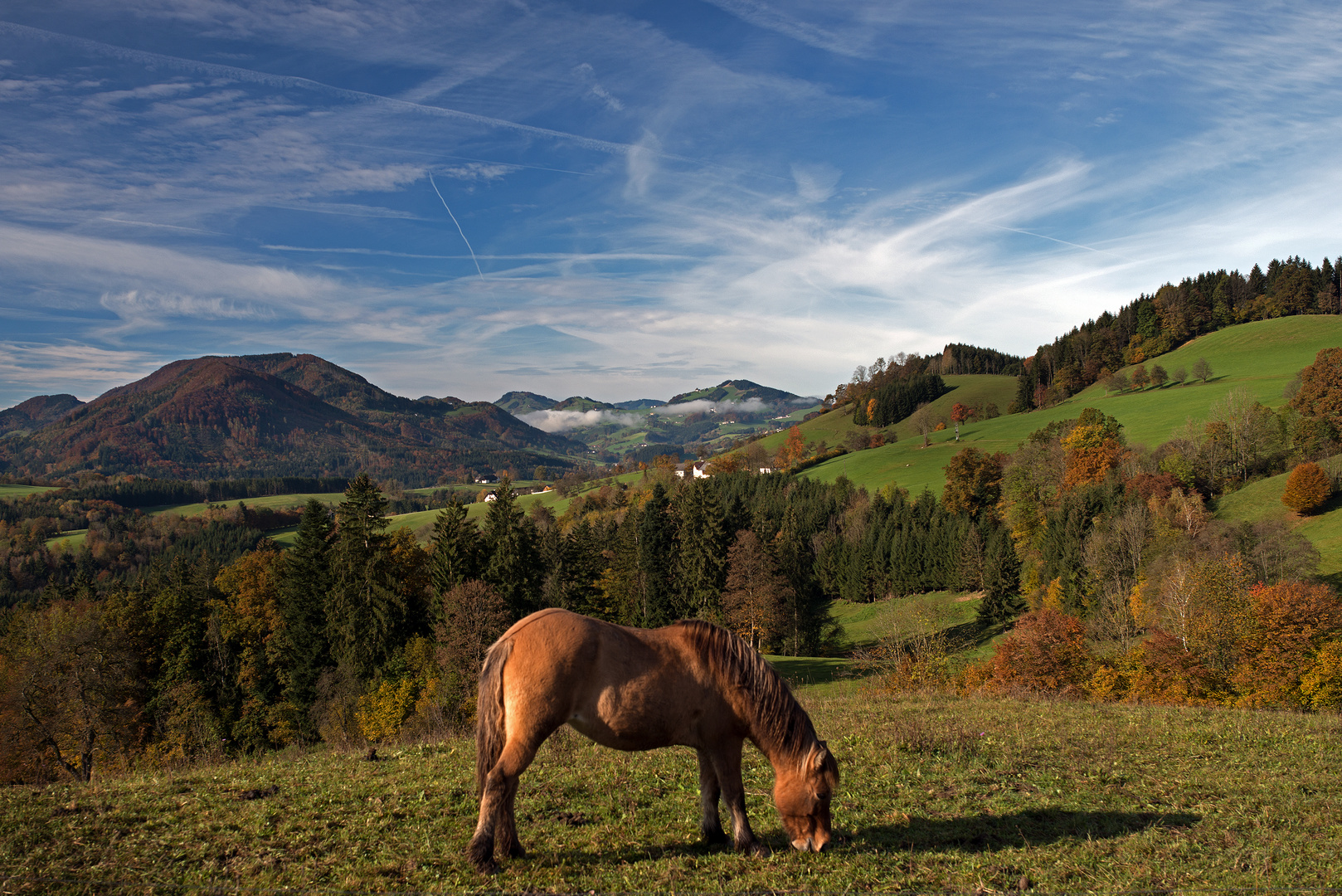 Herbst im Mostviertel (Niederösterreich)