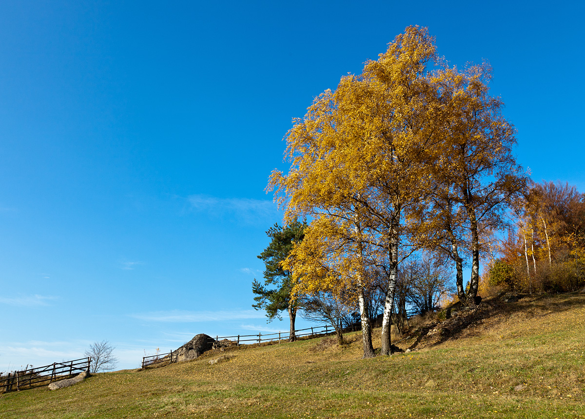 Herbst im Mühlviertel