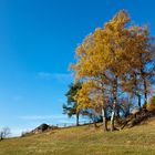 Herbst im Mühlviertel