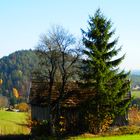 Herbst im Mühlviertel