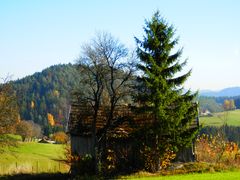 Herbst im Mühlviertel