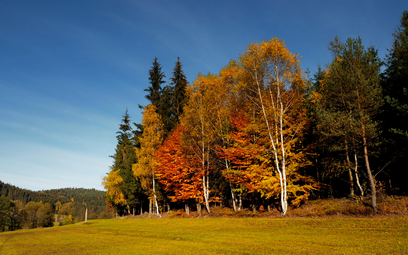 Herbst im Mühlviertel