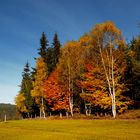 Herbst im Mühlviertel