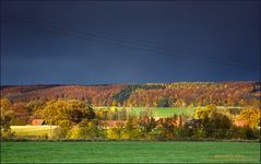 Herbst im Münsterlan (3) .... Kontraste