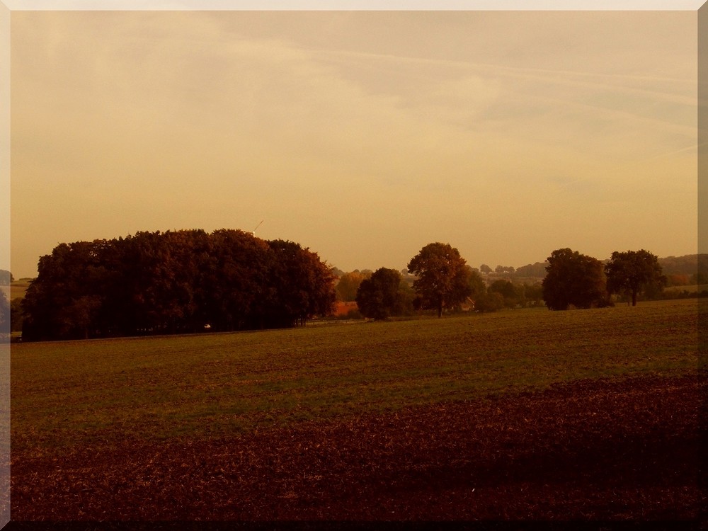 Herbst im Münsterland