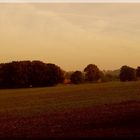 Herbst im Münsterland