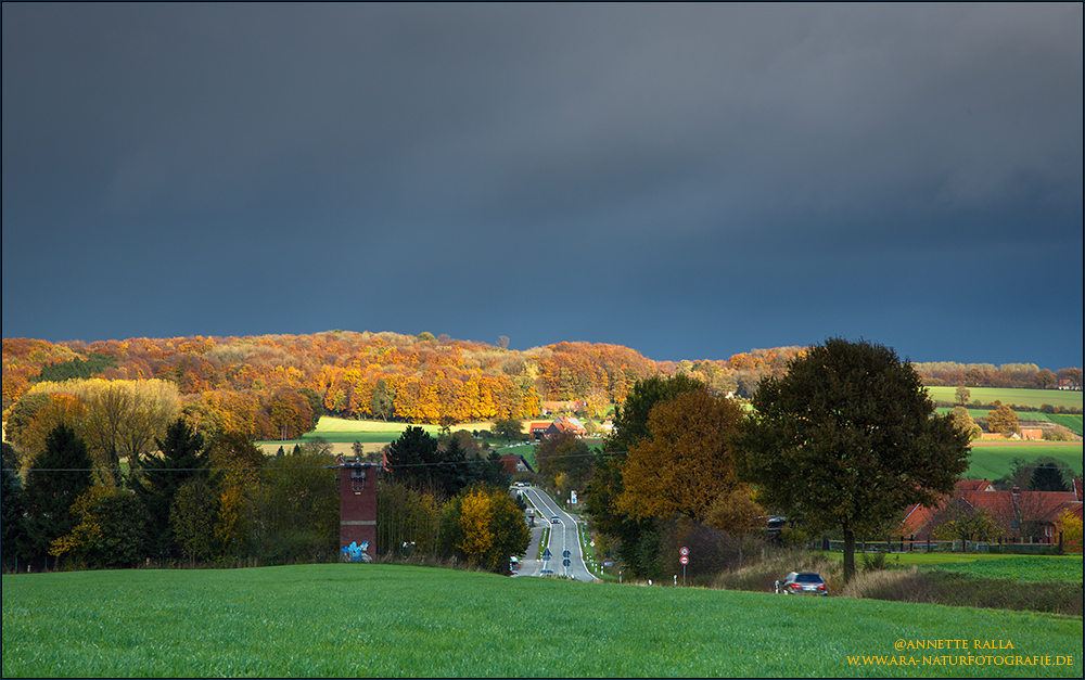 Herbst im Münsterland (4)