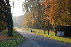 Herbst im Münsterland