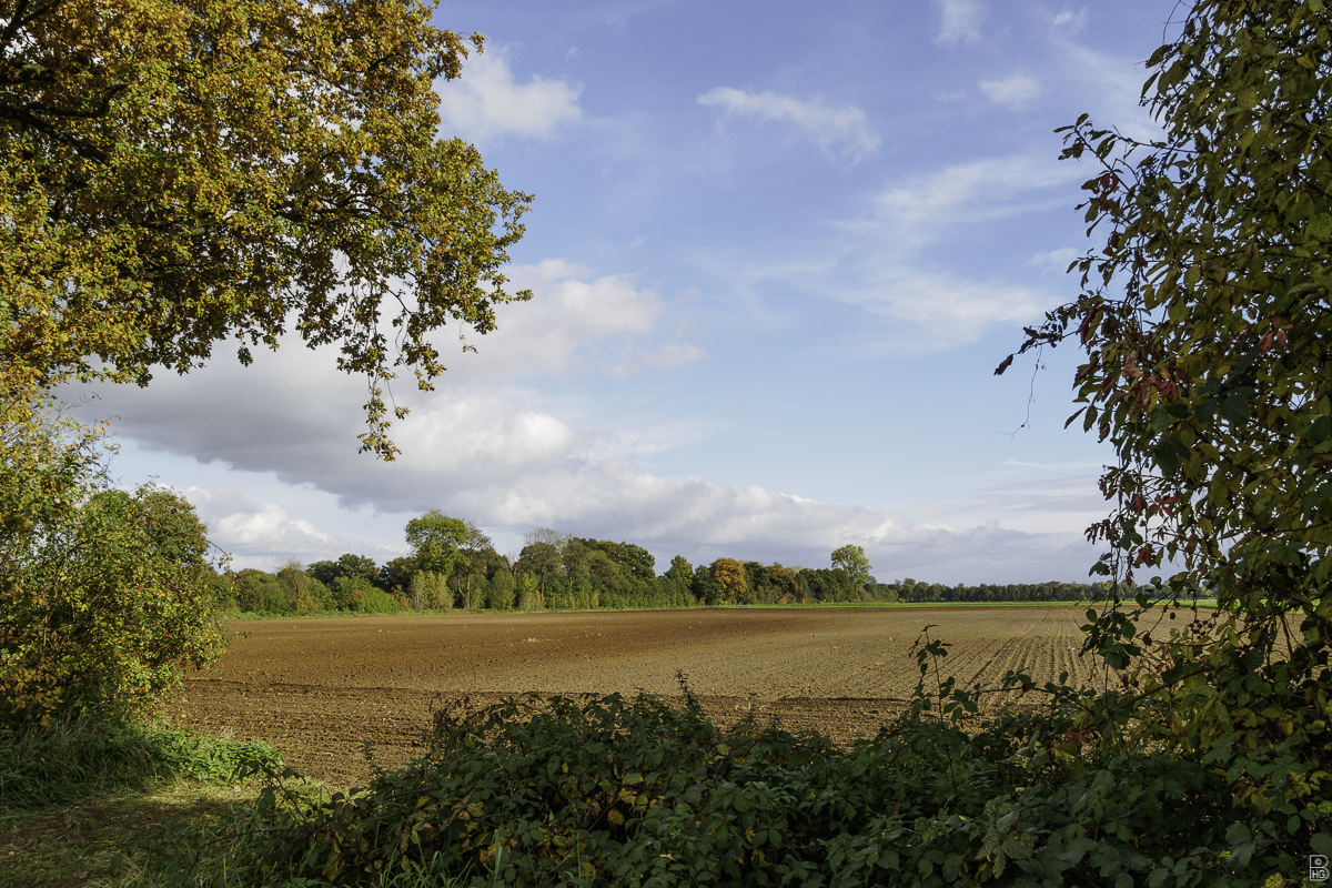 Herbst im Münsterland