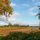 Herbst im Münsterland