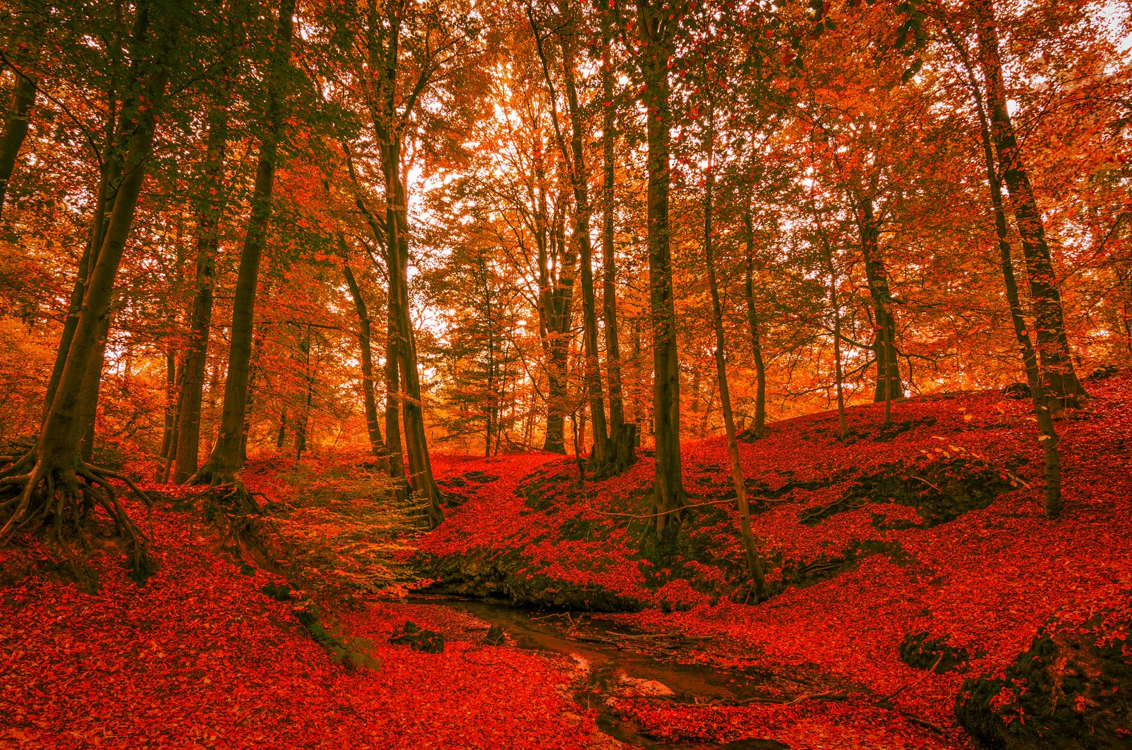 Herbst im Münsterland