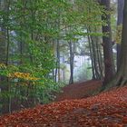 Herbst im Münsterland