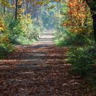 Herbst im Münsterland