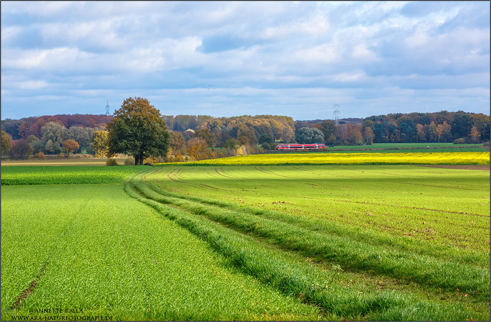 Herbst im Münsterland