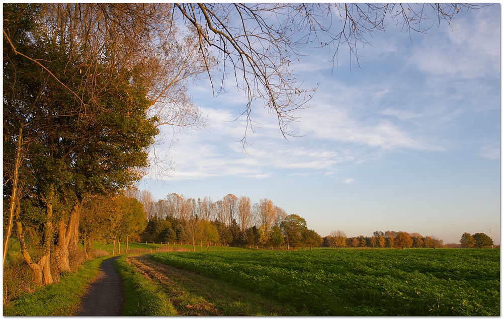 Herbst im Münsterland II