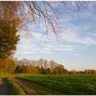 Herbst im Münsterland II