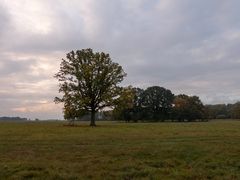 Herbst im Müritz Nationalpark