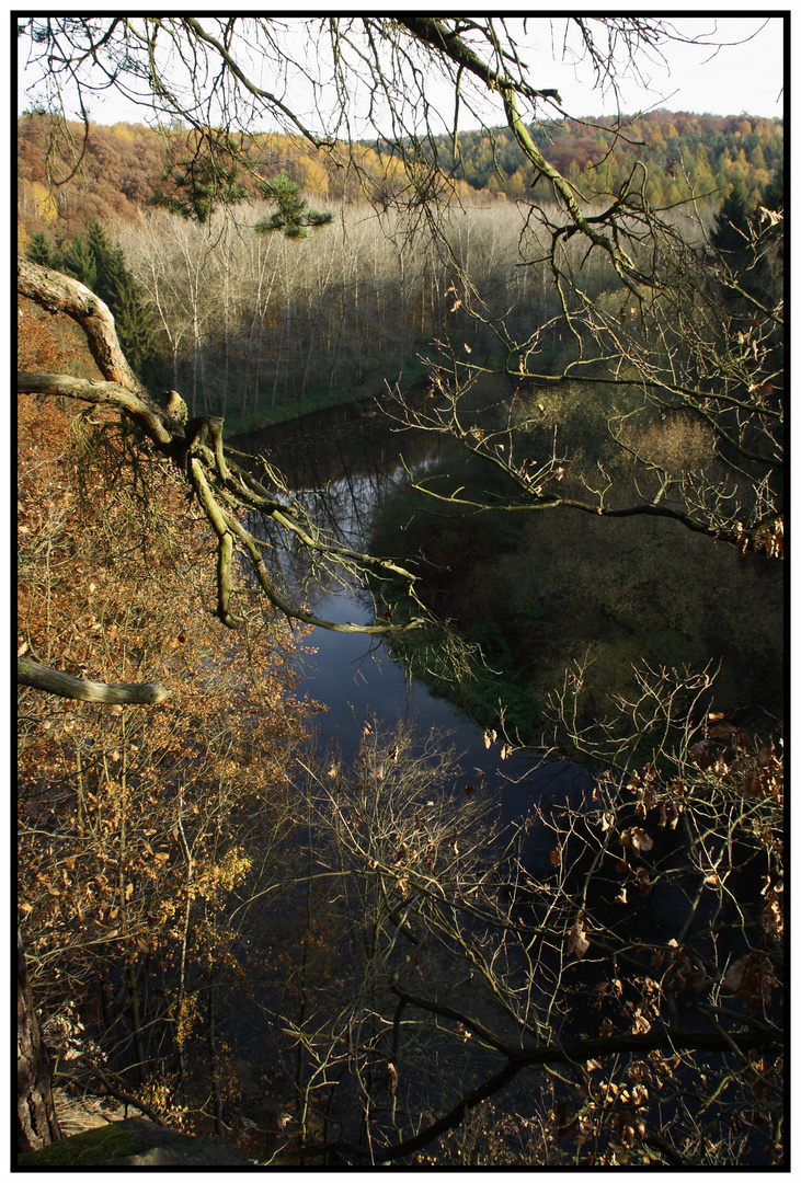 Herbst im Muldental