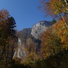 Herbst im Muotathal