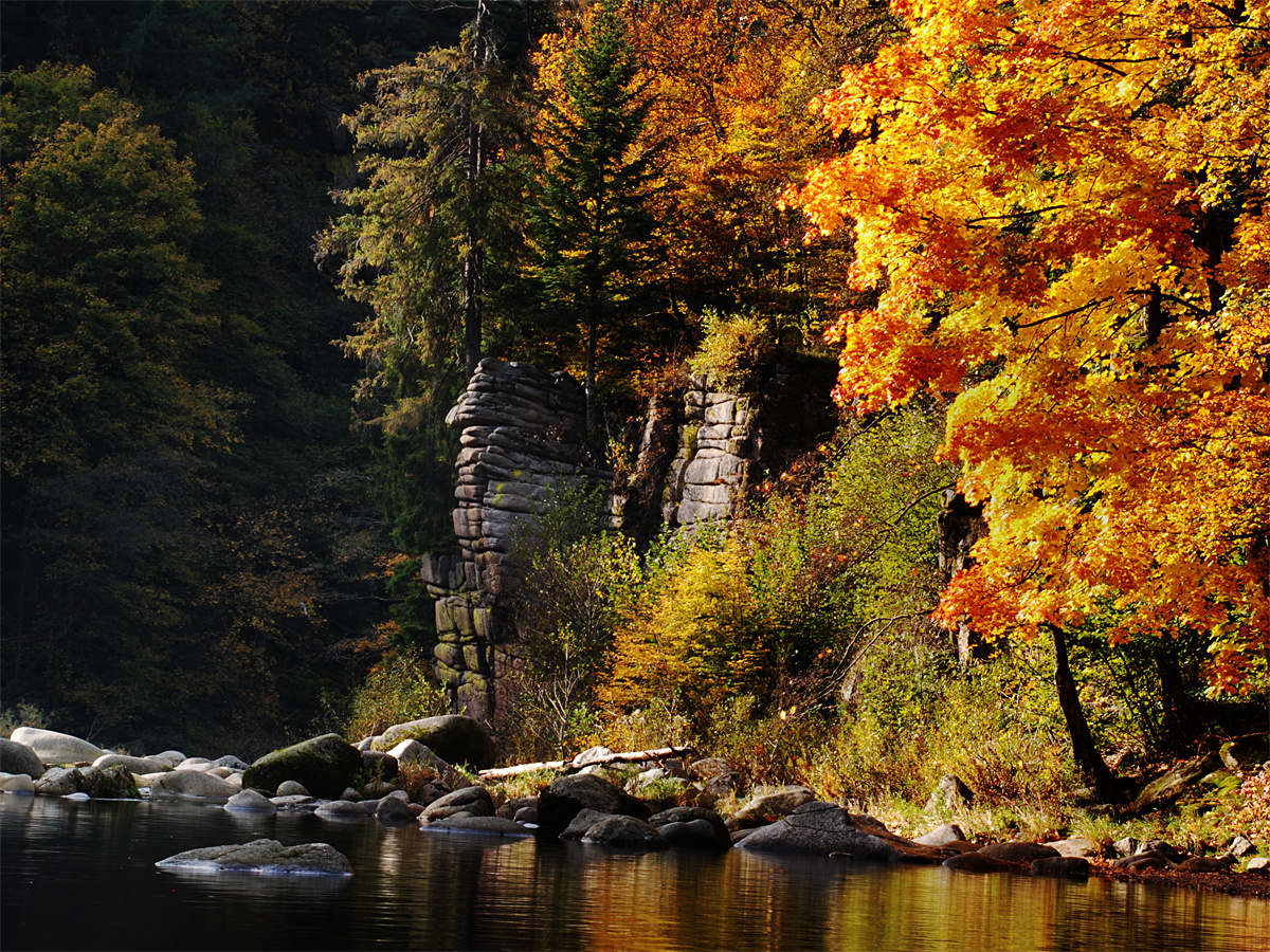 Herbst im Murgtal