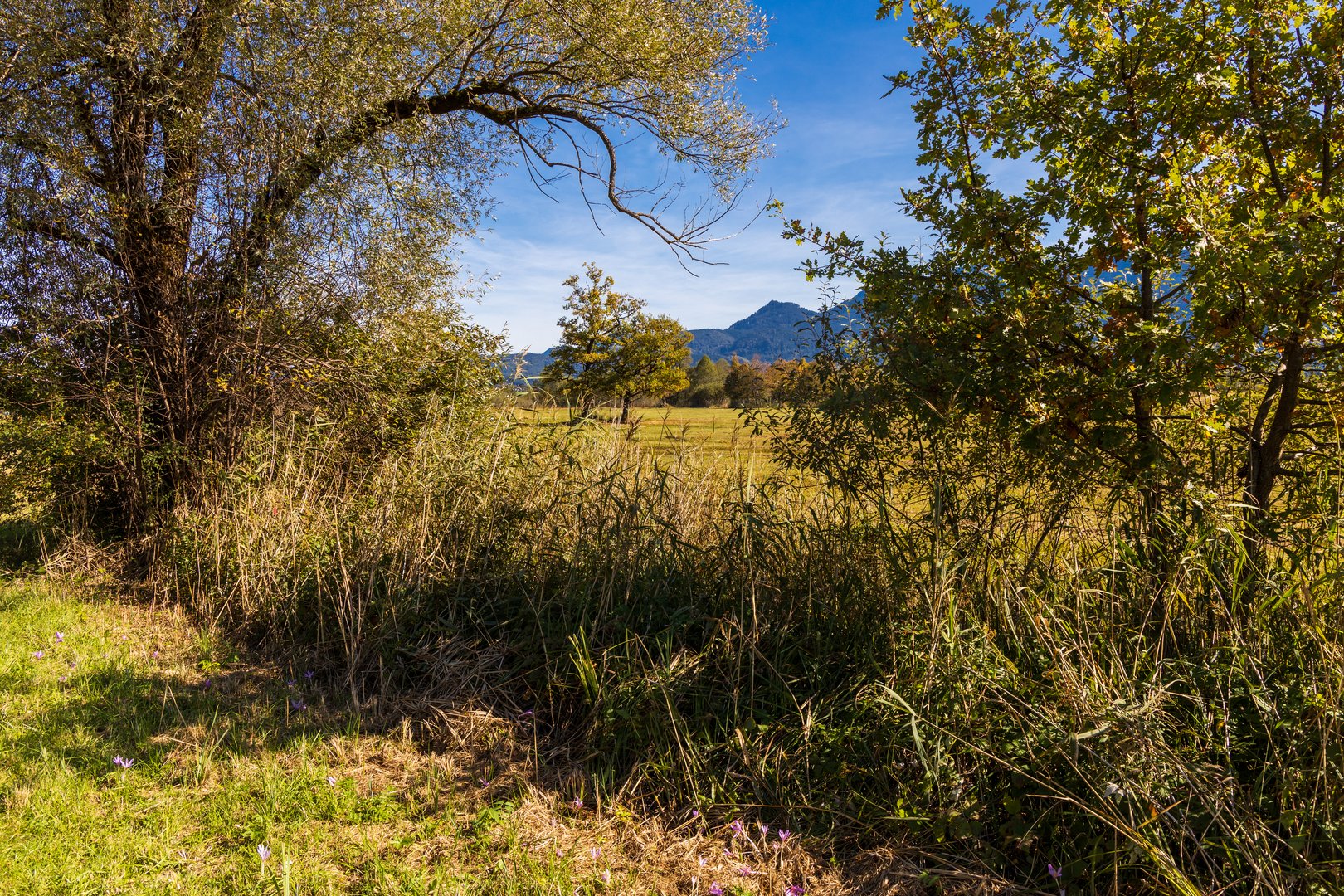 Herbst im Murnauer Moos 2021