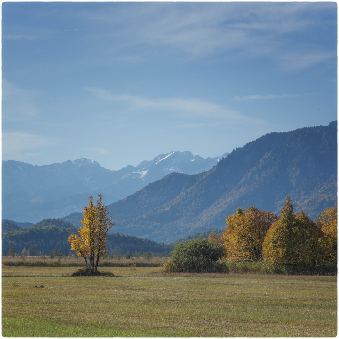 Herbst im Murnauer Moos 